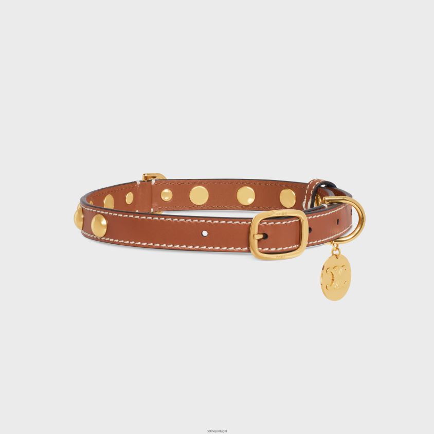 homens acessórios CELINE coleira de cachorro média fina em couro de bezerro liso com tachas bronzeado T204R1759