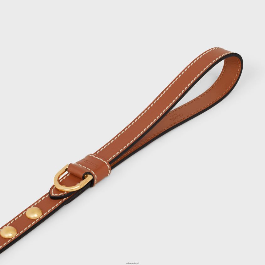 homens acessórios CELINE coleira fina para cachorro em couro de bezerro liso com tachas bronzeado T204R1761