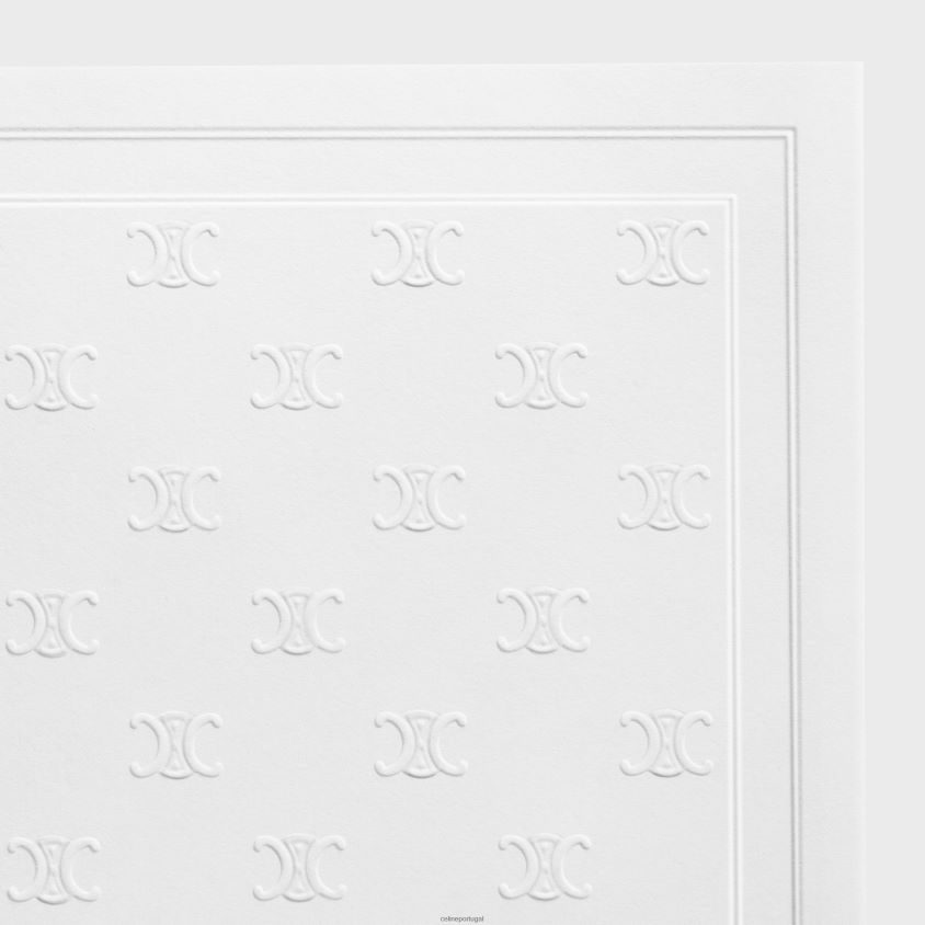 unissex acessórios CELINE papel paradescente Uma cor T204R1506