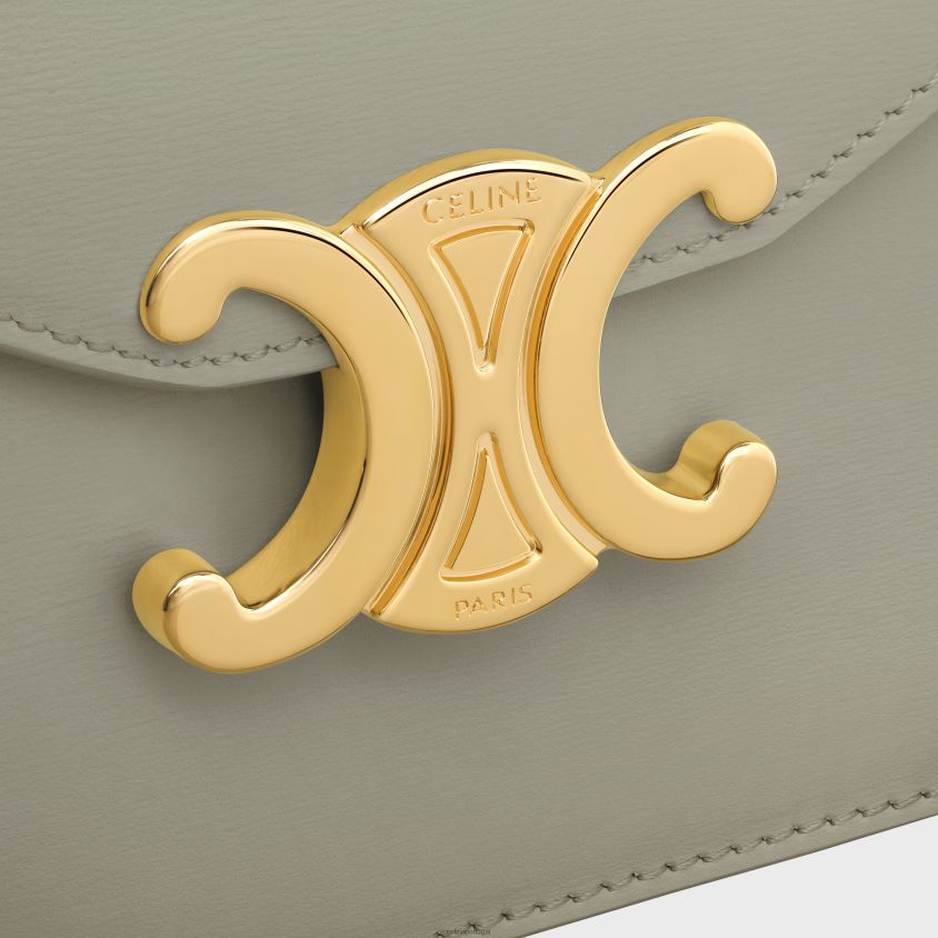 mulheres acessórios CELINE carteira com corrente margo em couro de bezerro brilhante Argila verde T204R349